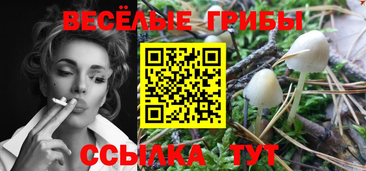 Псилоцибиновые грибы Cubensis  хочу   Асино  Вход с VPN  Галлюциногенные грибы мухоморы 